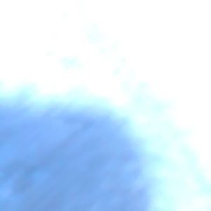 Meet your Posher, Maggie